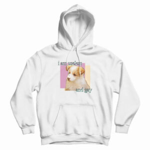 Dog I am Useless And Gay Hoodie For UNISEX