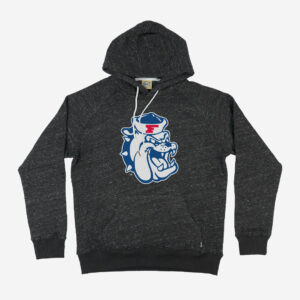 Fresno State Bulldogs