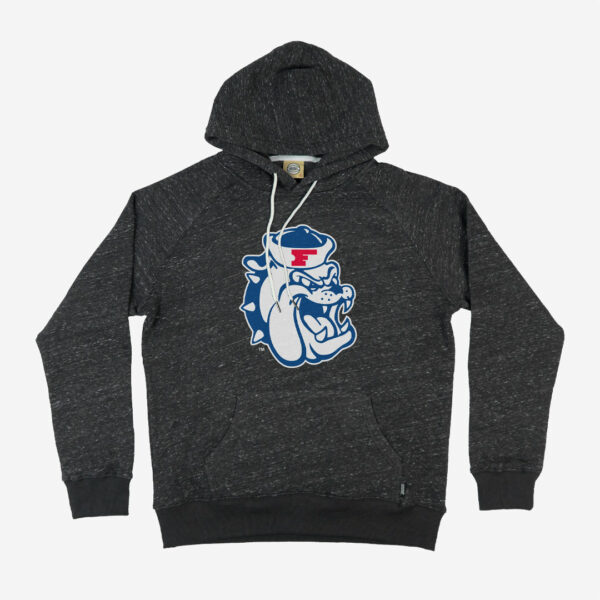 Fresno State Bulldogs