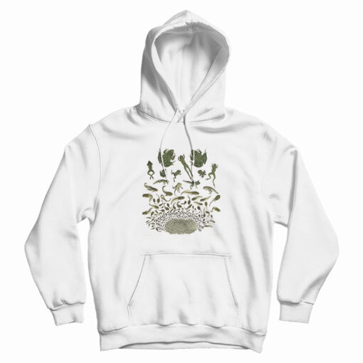Frog Metamorphosis Hoodie For UNISEx Frog Metamorphosis Hoodie For UNISEx
