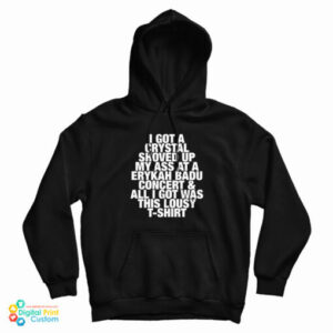I Got A Crystal Shoved Up My Ass At A Erykah Badu Concert And All I Got Was This Lousy T-Shirt Hoodie