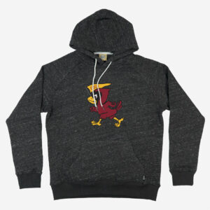 Iowa State Cyclones