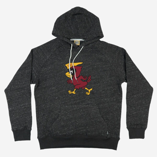 Iowa State Cyclones