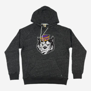 Washington Huskies