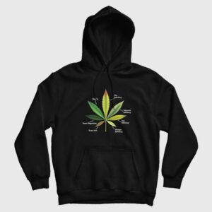 Cannabis Leaf Infographics Hoodie 1