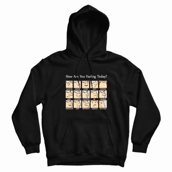 Cat How Are You Feeling Today Hoodie