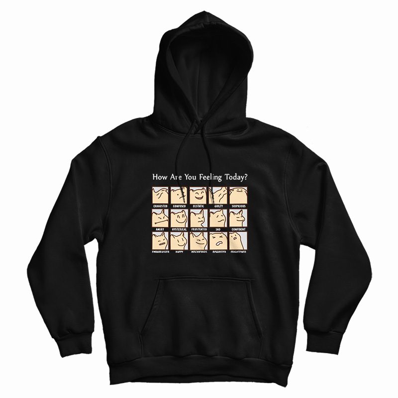 Cat How Are You Feeling Today Hoodie Cat How Are You Feeling Today Hoodie
