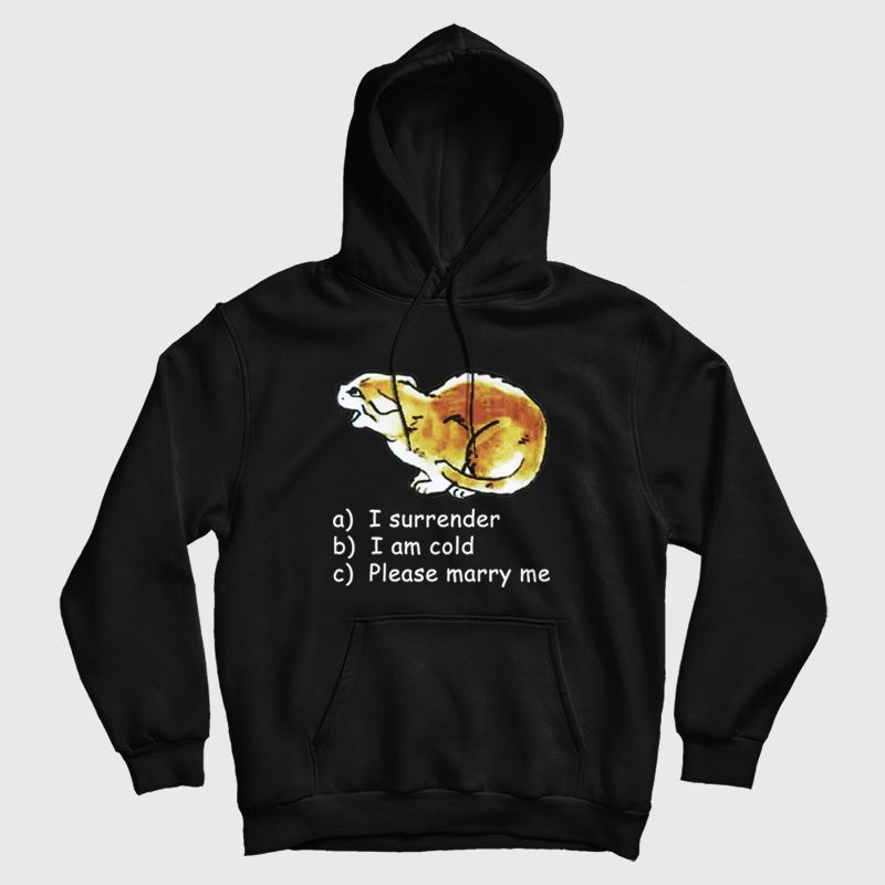 Cat I Surrender I Am Cold Please Marry Me Hoodie Cat I Surrender I Am Cold Please Marry Me Hoodie