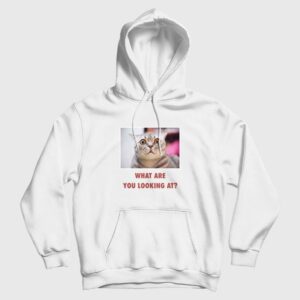 Cat What Are You Looking At Hoodie