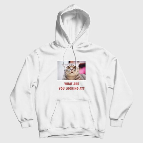 Cat What Are You Looking At Hoodie