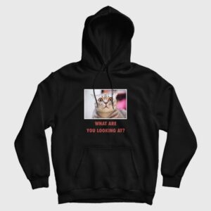 Cat What Are You Looking At Hoodie