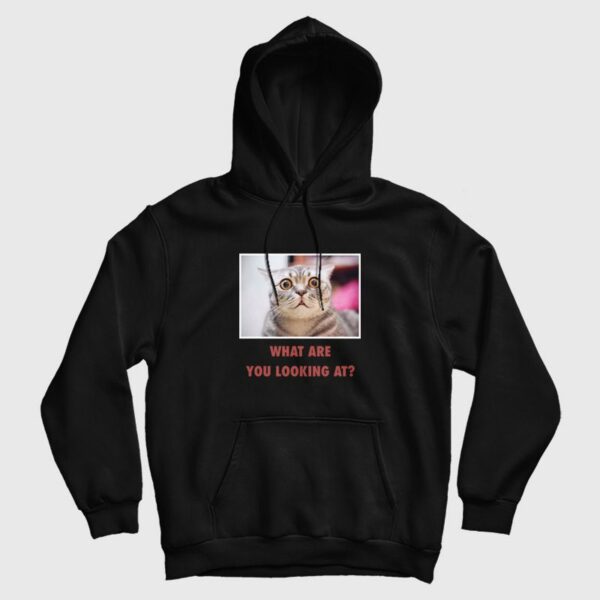 Cat What Are You Looking At Hoodie