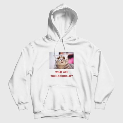 Cat What Are You Looking At Hoodie Cat What Are You Looking At Hoodie