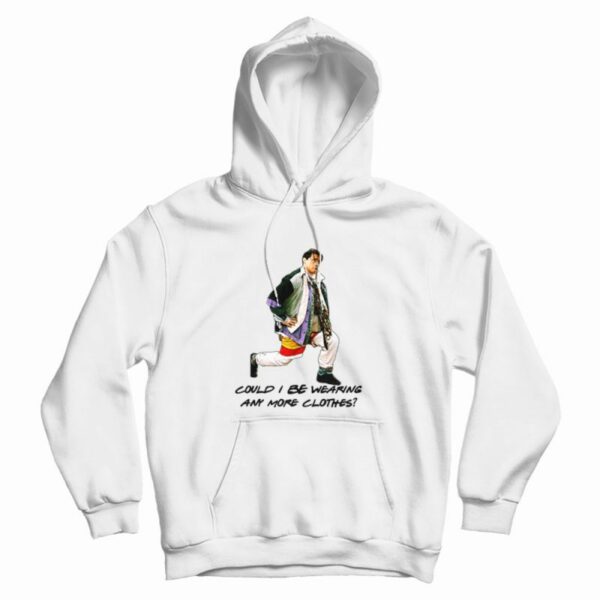 Could I BE Wearing Anymore Clothes Hoodie