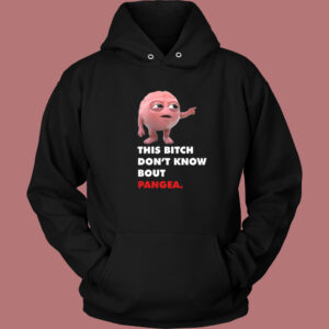 Don’t Know Bout Pangea Hoodie Style