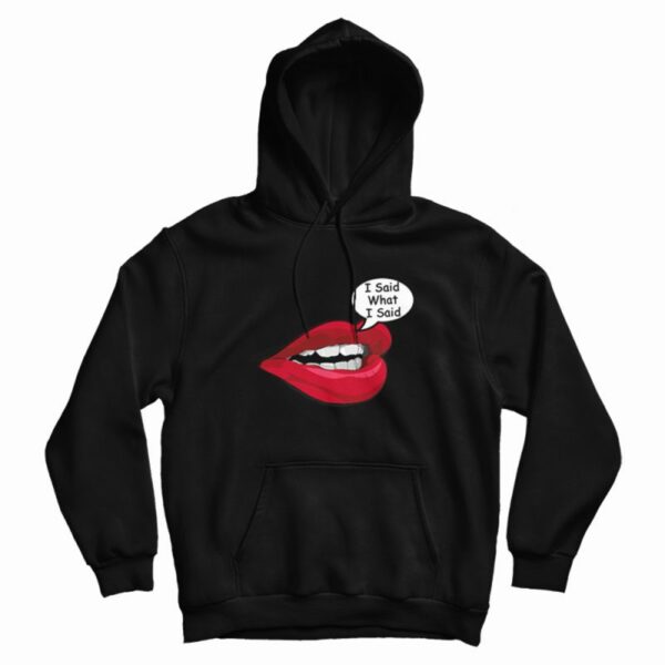 I Said What I Said Meme Hoodie