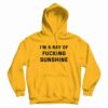 I’m A Ray Of Fucking Sunshine Hoodie