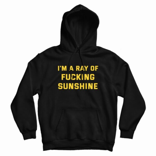 I’m A Ray Of Fucking Sunshine Hoodie