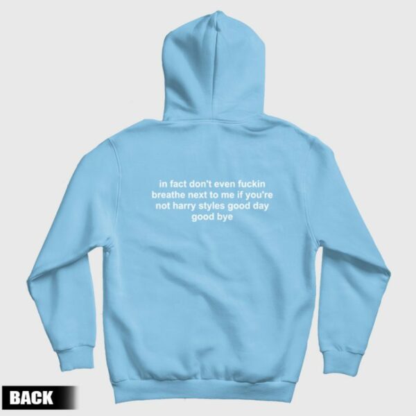 In Fact Don’t Even Fuckin Breathe Next To Me If You’re Not Harry Good Day Good Bye Hoodie