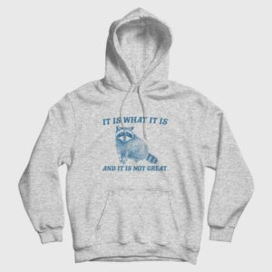It Is What It Is And It Is Not Great Raccoon Hoodie