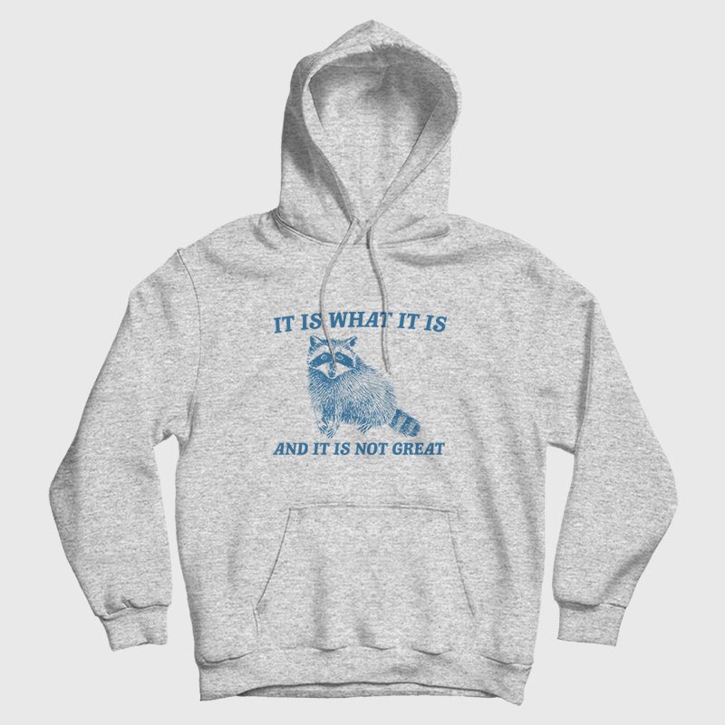 It Is What It Is And It Is Not Great Raccoon Hoodie It Is What It Is And It Is Not Great Raccoon Hoodie