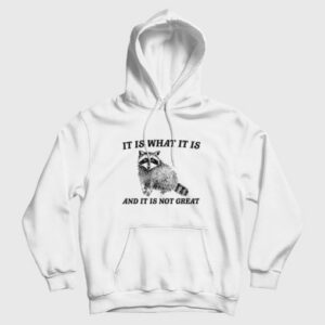 It Is What It Is And It Is Not Great Raccoon Hoodie 3