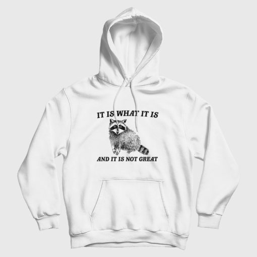 It Is What It Is And It Is Not Great Raccoon Hoodie It Is What It Is And It Is Not Great Raccoon Hoodie