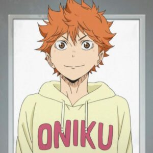Oniku Hinata Shouyou Haikyuu Cosplay Hoodie