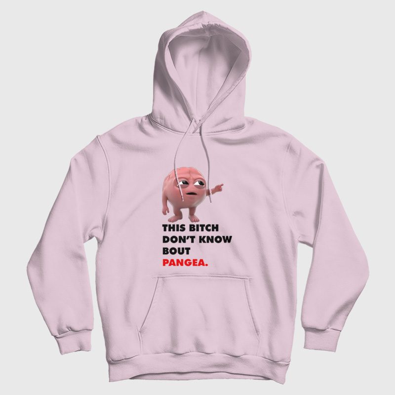 This Bitch Don't Know About Pangea Hoodie This Bitch Don't Know About Pangea Hoodie