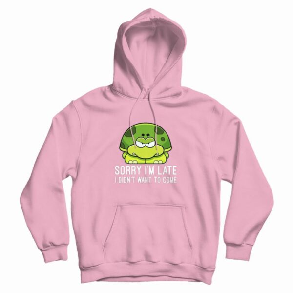 Turtle Sorry I’m Late I Didn’t Want To Come Hoodie