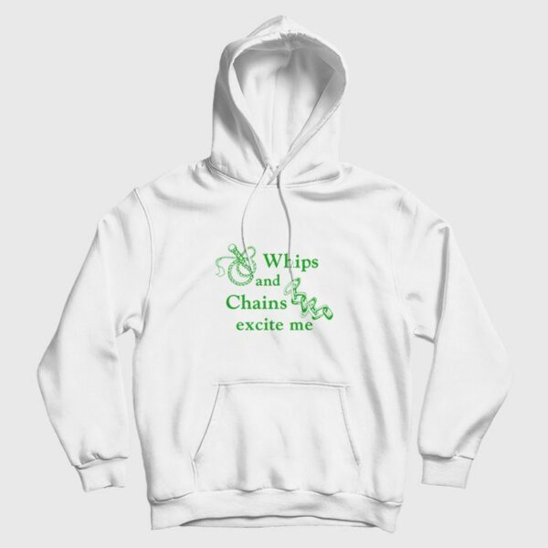 Whips and Chains Excite Me Hoodie