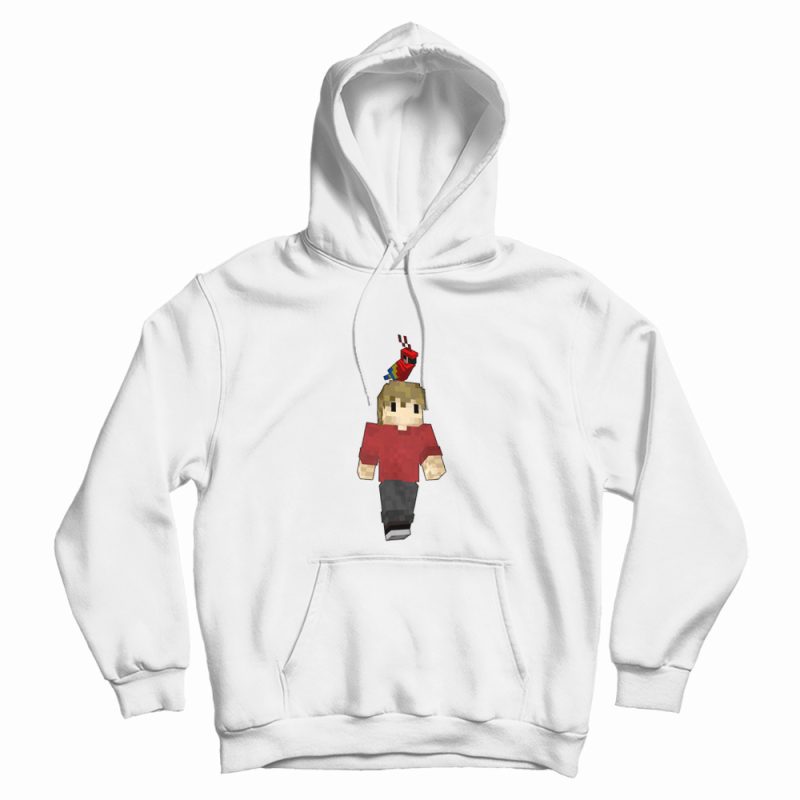 Grian and His Pesky Birds Hoodie Grian and His Pesky Birds Hoodie