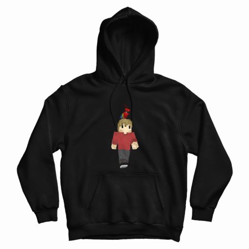 Grian and His Pesky Birds Hoodie Grian and His Pesky Birds Hoodie