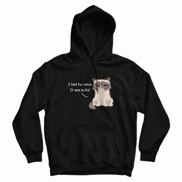 Grumpy Cat I Had Fun Once It Was Awful Hoodie