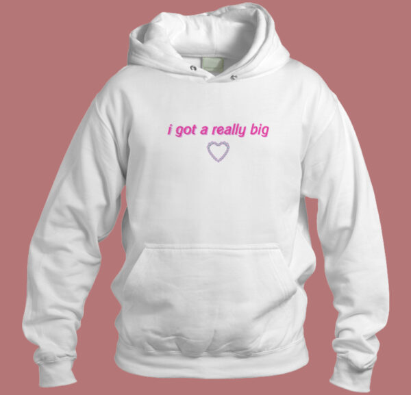 I Got A Really Big Funny Quote Hoodie Style
