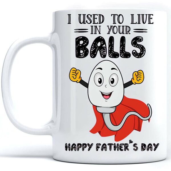I used to live in your balls mug