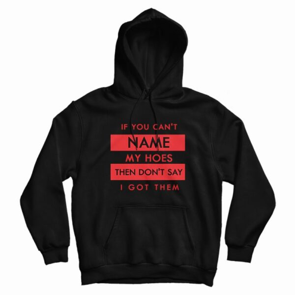 If You Can’t Name My Hoes Classic Hoodie