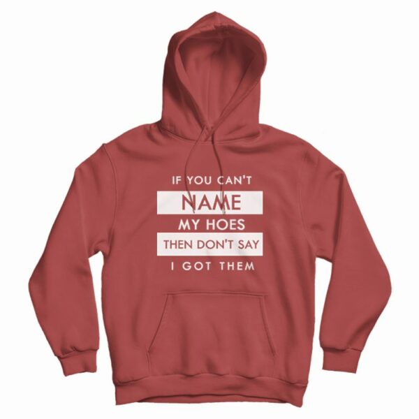 If You Can’t Name My Hoes Classic Hoodie