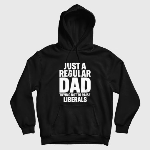 Just A Regular Dad Trying Not To Raise Liberals Hoodie Just A Regular Dad Trying Not To Raise Liberals Hoodie