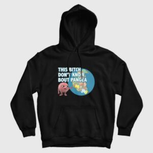 Lil Dicky Brain This Bitch Dont Know About Pangea Hoodie 4