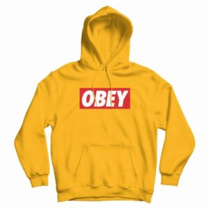 Obey Box Logo Hoodie 3