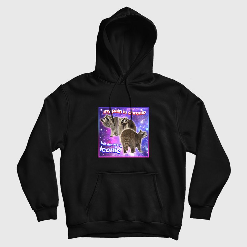 Raccoon My Pain Is Chronic But My Ass Is Iconic Hoodie Raccoon My Pain Is Chronic But My Ass Is Iconic Hoodie