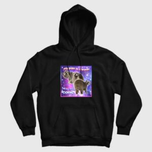 Raccoon My Pain Is Chronic But My Ass Is Iconic Hoodie 3