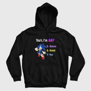 Sonic Yeah I’m Gay Gonna Avoid You Hoodie