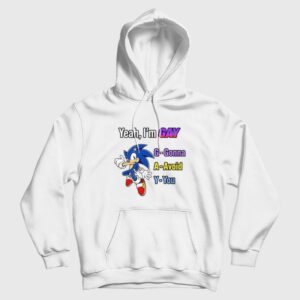 Sonic Yeah I’m Gay Gonna Avoid You Hoodie