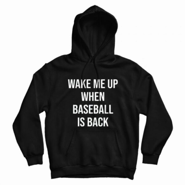 Wake Me Up When Baseball Is Back Hoodie