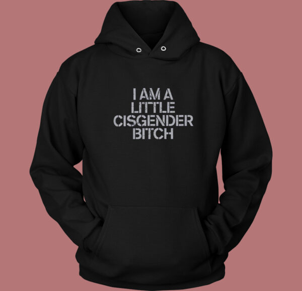 I Am A Little Cisgender Bitch Hoodie Style