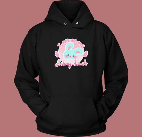 I Am At My Fucking Limit Funny Hoodie Style