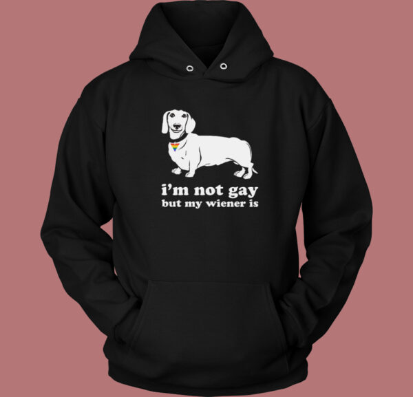 Im Not Gay But My Wiener Is Hoodie Style