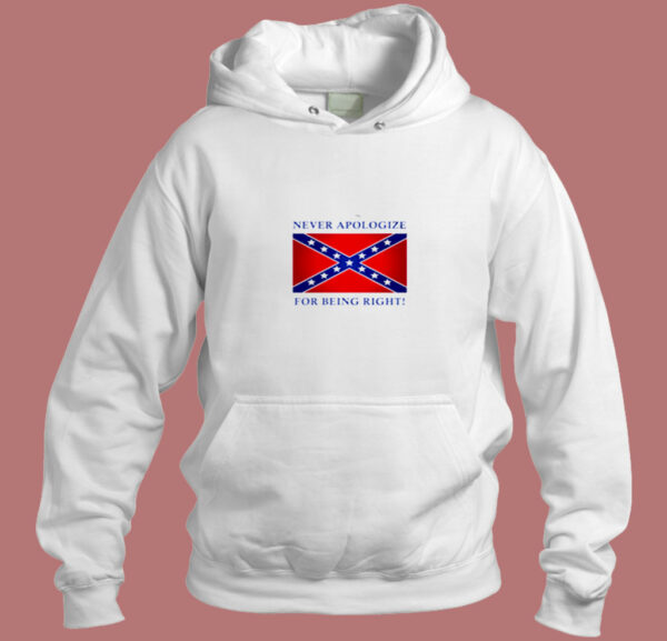 Never Apologize For Being Right Aesthetic Hoodie Style